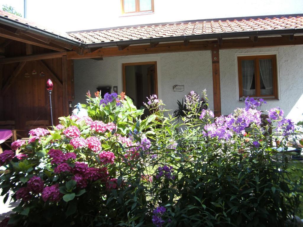 Appartementhaus Elisabeth Winklhofer Bad Fussing Room photo